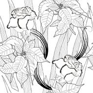Seamless pattern with black and white poinsettia N4