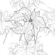 Seamless pattern with black and white poinsettia N6