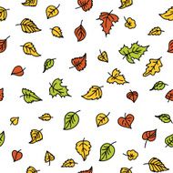 autumn leaf background N35