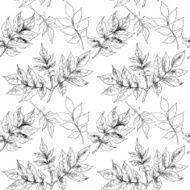 Hand drawn autumn leaves N2