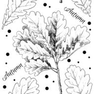 Hand drawn autumn leaves N3