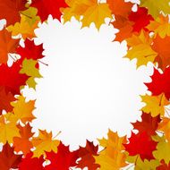 background with autumn colorful leaves