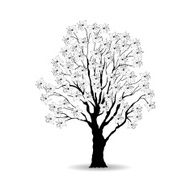 Tree and white flowers