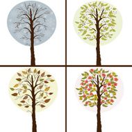 Trees in seasons N2