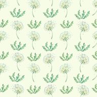 Dandelion and plants seamless pattern in watercolor N3
