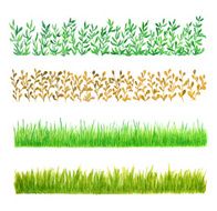 Set of Four Watercolor Grass Borders Isolated