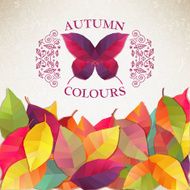 Autumn ornament with leaves Vector illustration