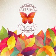 Autumn background Vector illustration N4