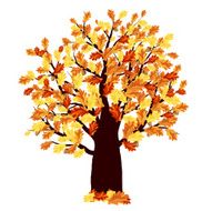 Autumn Oak Tree