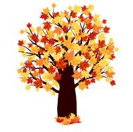 Autumn Maple Tree N4