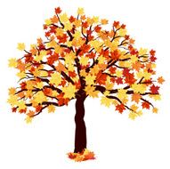 Autumn Maple Tree N5