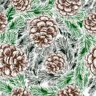 pine cones and spruce branches pattern N3