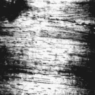 Wood texture N13