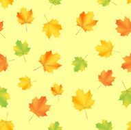 Autumn leaf pattern N2