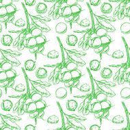 seamless green macadamia branches