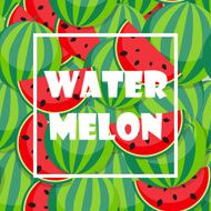 Background from Watermelon Vector Illustration