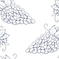 Bunch of grapes on white background for label wine N2