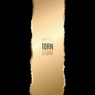 Gold and black torn paper N6