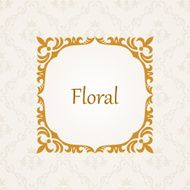 Calligraphic frame Vector vintage elegant text border N5