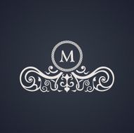 Vintage luxury emblem Elegant Calligraphic vector symbol N3