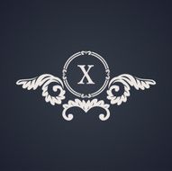 Vintage luxury emblem Elegant Calligraphic vector symbol N4
