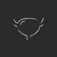 Urinary bladder icon drawn in chalk N2