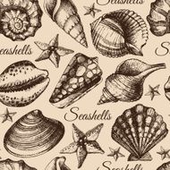 Seashell Seamless Pattern N2
