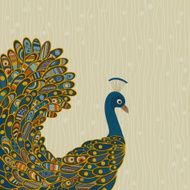 Peacock N43