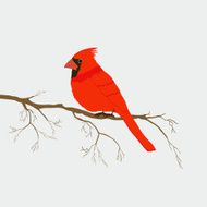 Red Cardinal Bird N5