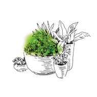Garden elements sketch N2
