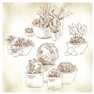 Garden elements sketch N3