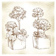 Garden elements sketch N4