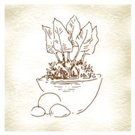 Garden elements sketch N5