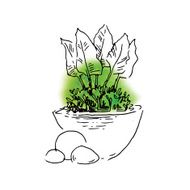 Garden elements sketch N9