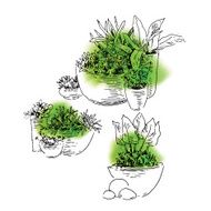 Garden elements sketch N10