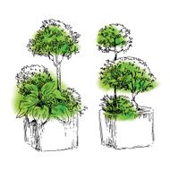 Garden elements sketch N12