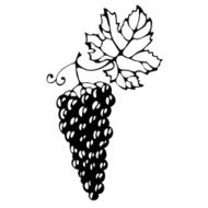 One silhouette grapes brush