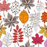 Seamless Pattern Of Patterned Autumn Leaves