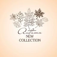 Sketch Patterned Autumn Leaves Concept N2