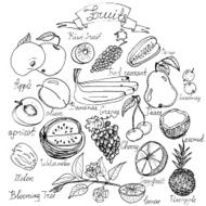 Hand drawn vector fruits set N2