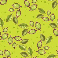 Gooseberry in doodle sketch style