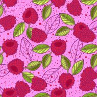 raspberries in doodle N2