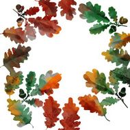watercolor wreath of oak leaves N6