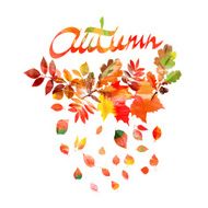 Autumn leaves frame N3