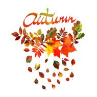 Autumn leaves frame N4