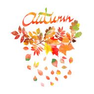Autumn leaves frame N5