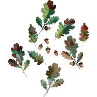 set of autumn leaves