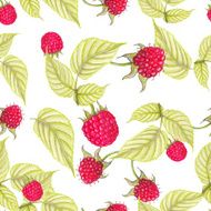 Raspberry seamless pattern N5