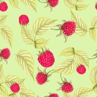 raspberry pattern N3