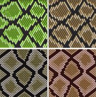 Seamless snake skin patterns